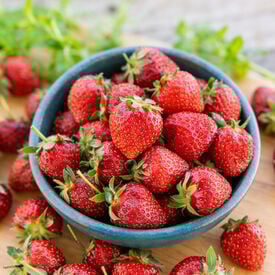 Eversweet, Strawberry Plants